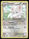 Cinccino