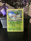 Sawsbuck