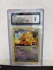 Lillipup