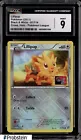 Lillipup