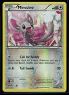 Minccino