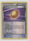 Old Amber Aerodactyl