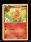 Torchic