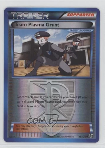 Team Plasma Grunt
