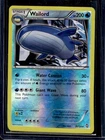 Wailord