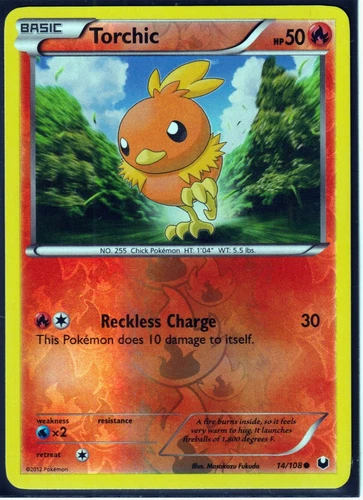 Torchic