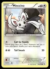 Minccino