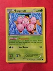 Exeggcute