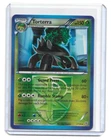 Torterra