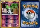 Ralts