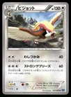 Pidgeot
