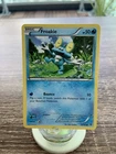 Froakie