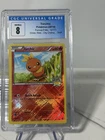 Torchic