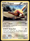 Pidgeot