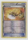 Sacred Ash
