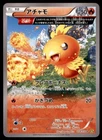 Torchic
