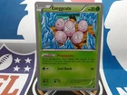 Exeggcute