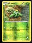 Cacnea