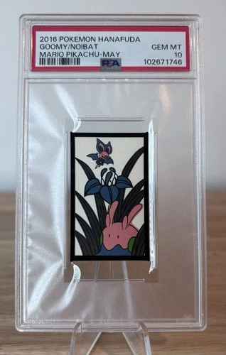 Goomy, Noibat