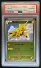 Zapdos
