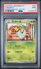 Chikorita