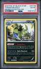 Old Amber Aerodactyl