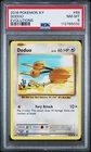 Doduo