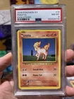 Ponyta