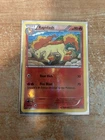 Rapidash