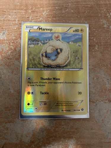 Mareep
