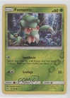 Fomantis