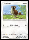 Pidgey