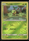 Turtwig