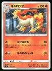 Rapidash