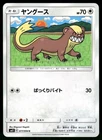 Yungoos