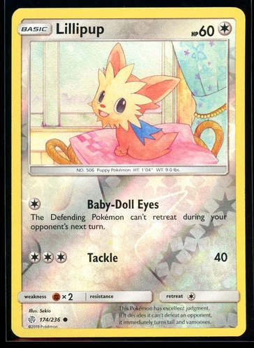 Lillipup