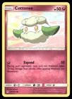 Cottonee