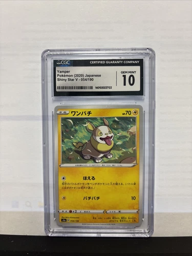 Yamper