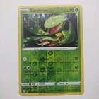 Carnivine