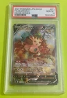 Leafeon V