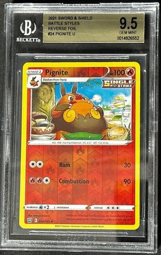 Pignite