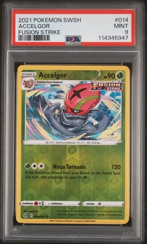 Accelgor