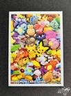 Pokemon Center Lady