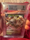 Chesnaught V
