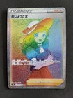 Lady
