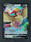 Pidgeot V