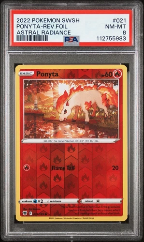 Ponyta