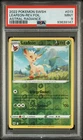 Ursaring