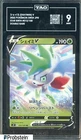 Shaymin V