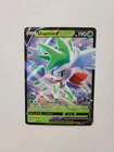 Shaymin V